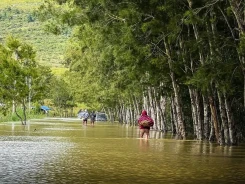 Banjir Melanda Kabupaten Jayawijaya, Ribuan Warga Terdampak